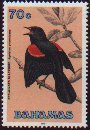 Red-Winged Blackbird