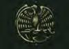 Hawk Emblem