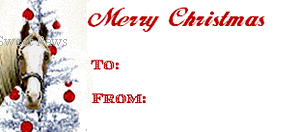
horse gift tags