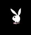 Play Boy Bunnie
