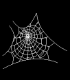 Web White