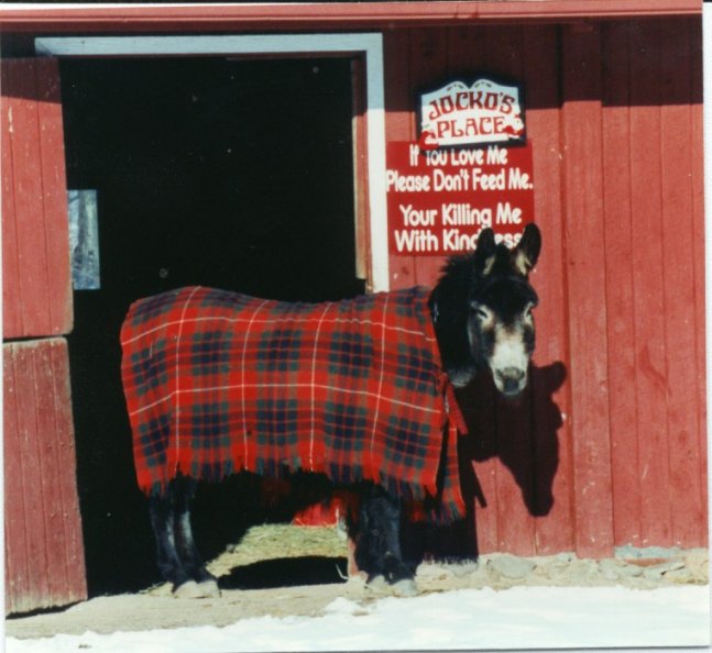 He needs no introduction!