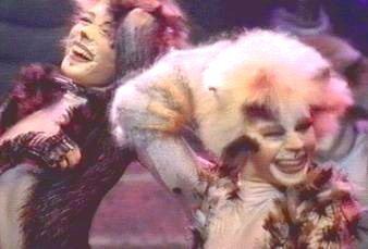 They are cute lil kittens