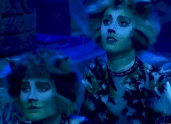 Mung and Teazer looking sad