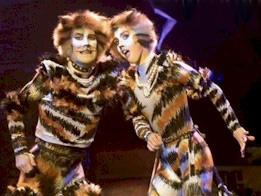 Anyone ever tell these cats whispering is VERY RUDE!