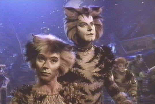 Why do they tell you about naming cats when someone's wondering what a jellicle cat is