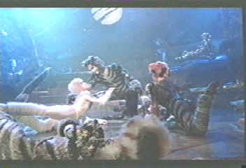 There's that cat that tries to get my Misto, to the Batmobile