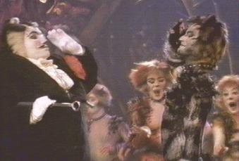 Yuck! Don't salute that cat