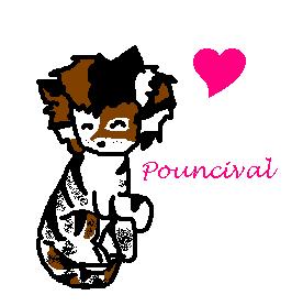 Pouncival