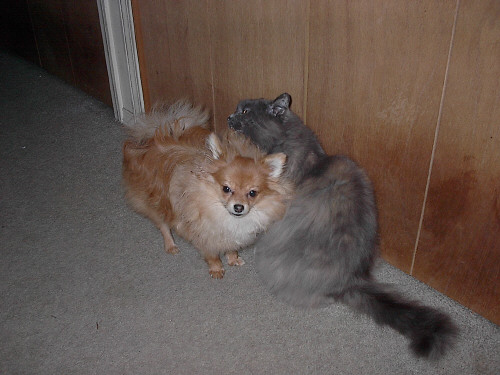 Carlie and Shana, Apr. 8, 2005