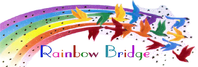 rainbow bridge heading