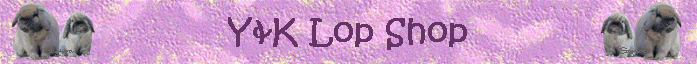 Y&K Lop Shop