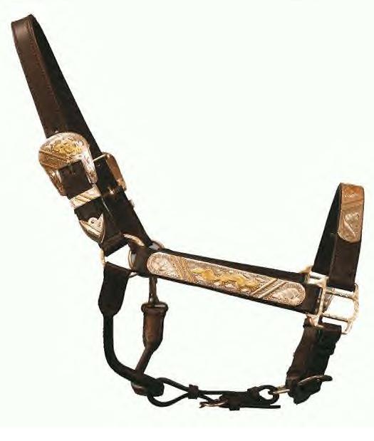Parker Sales Co Inc Horse Show Halter with Lead