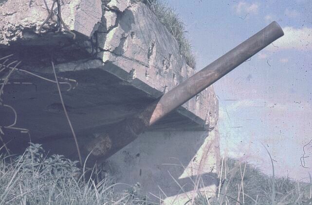 Click to see next picture