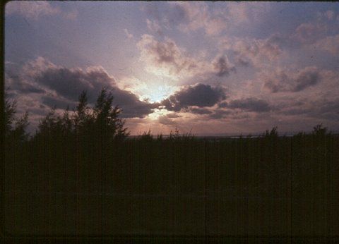 This image has been resized