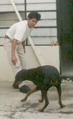 Raul y Dina.jpg (28694 bytes)