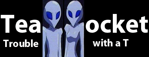 Team Rocket Trouble with a T