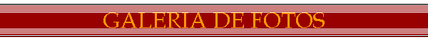 GALERIA DE FOTOS
