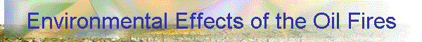 Environmental Effects of the Oil Fires