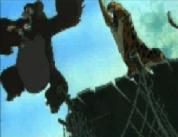 Kala vlucht voor panter