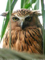 DSCN23108 copy.jpg (77602 bytes)