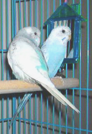 Remmie and New Friend