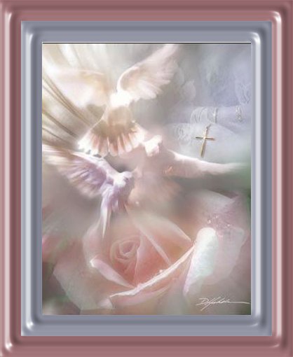 Purity By Denton Lun