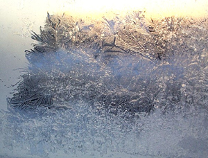 Ice - Nature's Other Flower