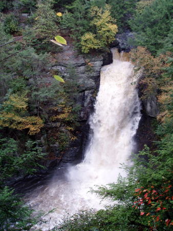 PA's Niagra - Bushkill Falls