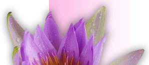 How Tamiflu may help us. Shipping options for Tamiflu Medical advises for your health improvement