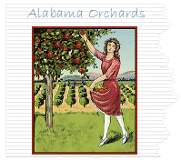  Alabama Orchards 