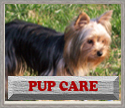 Pup Care