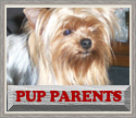 Pup Parents