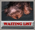 Waiting List