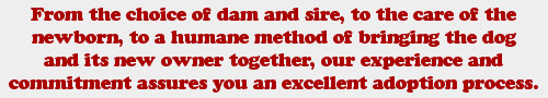 From the choice of dam and sire, to the care of the newborn, to a humane method of bringing the dog and its new owner together, our experience and commitment assures you an excellent adoption process.