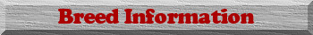 Breed Info