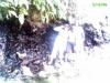 pinatubo hot spring