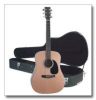 Acoustic Guitar w/ case
