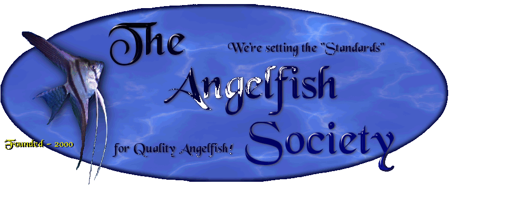 Welcome to the Angelfish Society!