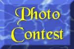 Check out our current Photo Contest!