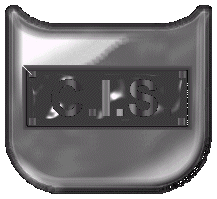 Central Intelligence System