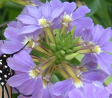 List of Things to Bring to School