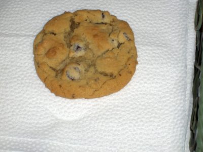 My pet cookie