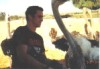 Dan C Riding an Ostrich