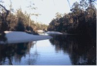 Blackwater River State Park