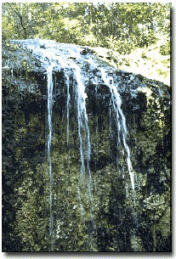 Falling Waters State Parks