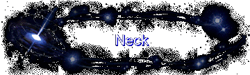 Neck