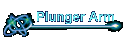 Plunger Arm