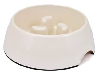 Slow Feeder Bowl