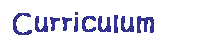 Text Box: Curriculum
